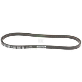 Courroie MTD 75404331