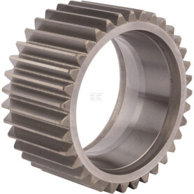 Pignon de différentiel SPICER DANA 7550600801