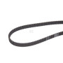 Courroie de distribution HONDA MACHINERY PARTS 76182VK1E11