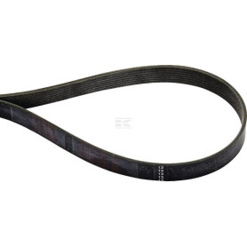 Courroie CLAAS 7700068536