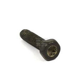 Vis BRIGGS & STRATTON 792629