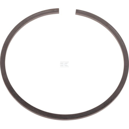 Bague d'étanchéité RAICO 79061087N