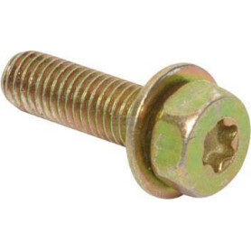 Vis BRIGGS & STRATTON 795012
