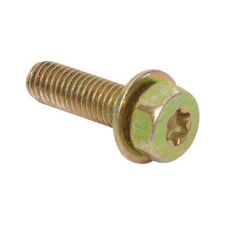 Vis BRIGGS & STRATTON 795012