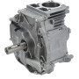 Bloc de court BRIGGS & STRATTON 795158A