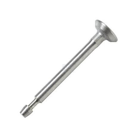 Soupape d'échappement BRIGGS & STRATTON 793557