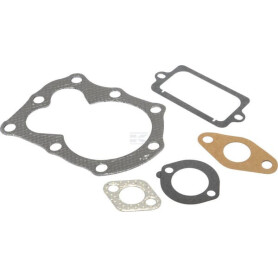 Kit d'étanchéité BRIGGS & STRATTON 795972