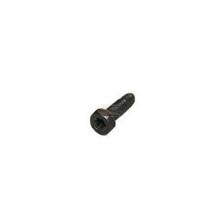 Vis BRIGGS & STRATTON 794904