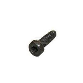 Vis BRIGGS & STRATTON 794904