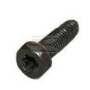 Vis BRIGGS & STRATTON 794904