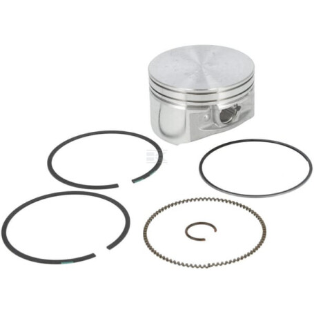Ensemble BRIGGS & STRATTON 793648