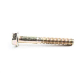 Vis BRIGGS & STRATTON 791130