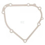 Joint de carter BRIGGS & STRATTON 798807