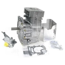 Bloc BRIGGS & STRATTON 797092A