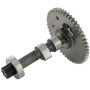 Arbre à cames BRIGGS & STRATTON 796853