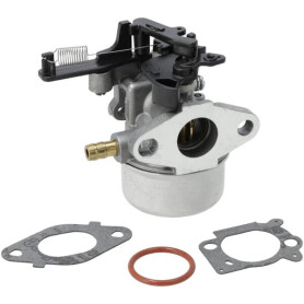 Carburateur BRIGGS & STRATTON 799447