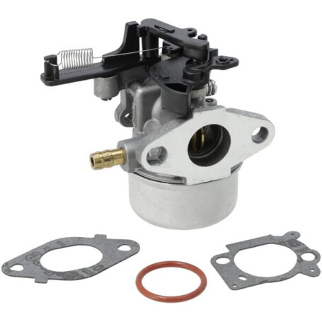 Carburateur BRIGGS & STRATTON 799447