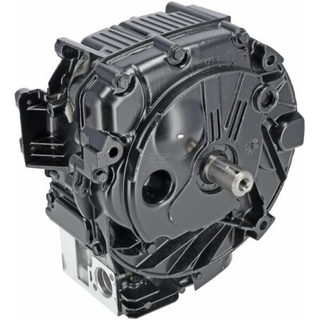 Bloc de court BRIGGS & STRATTON 799982
