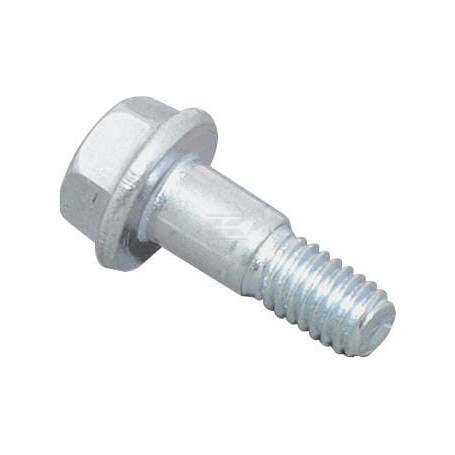 Vis BRIGGS & STRATTON 799972