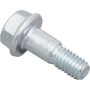 Vis BRIGGS & STRATTON 799972