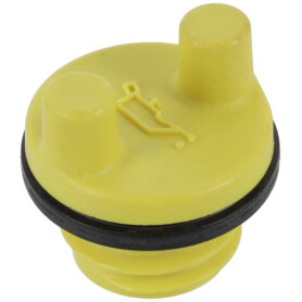 Bouchon huile BRIGGS & STRATTON 799857