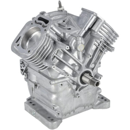 Ensemble bloc court BRIGGS & STRATTON 80083855