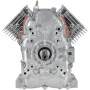 Ensemble bloc court BRIGGS & STRATTON 80083855