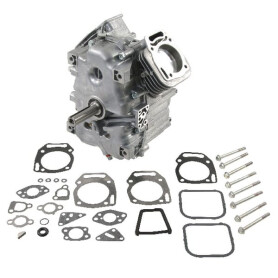 Bloc BRIGGS & STRATTON 80083862
