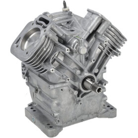 Ensemble bloc moteur BRIGGS & STRATTON 80083857