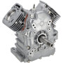 Ensemble bloc moteur BRIGGS & STRATTON 80083857