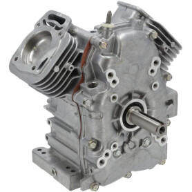Bloc de court BRIGGS & STRATTON 80083851