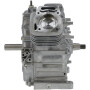 Bloc de court BRIGGS & STRATTON 80083851