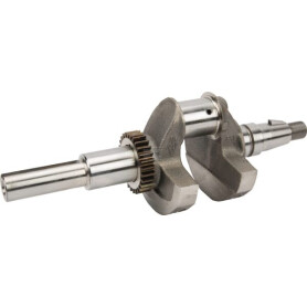 Vilebrequin BRIGGS & STRATTON 809806