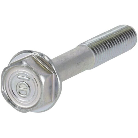 Vis BRIGGS & STRATTON 807357