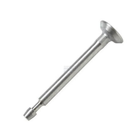 Soupape d'échappement BRIGGS & STRATTON 808687
