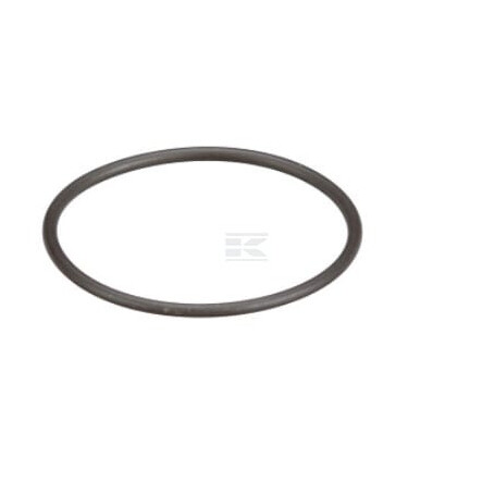 Bague d'étanchéité FPT 8097979FPT