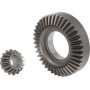 Engrenage JF 813560030X