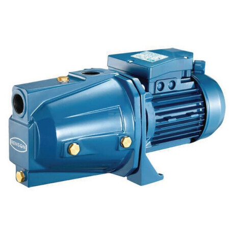 Pompe centrifuge RENSON 817384