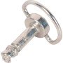 Boulon CNH 81875580