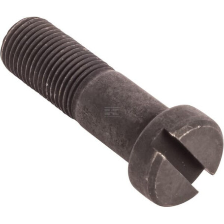 Boulon RAICO 825776M1N