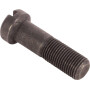 Boulon RAICO 825776M1N