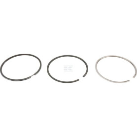 Segments LOMBARDINI 8211225