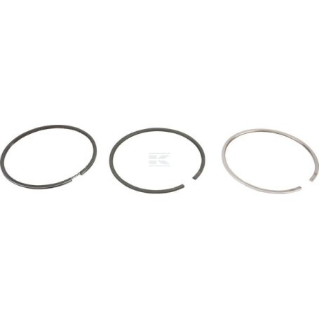 Segments LOMBARDINI 8211225