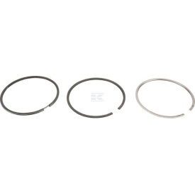 Segments LOMBARDINI 8211225