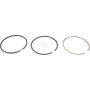 Segments LOMBARDINI 8211225