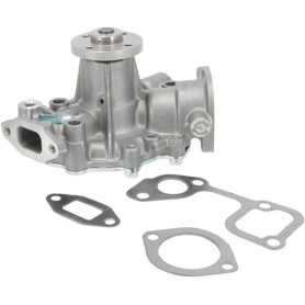 Pompe à eau BRIGGS & STRATTON 825265