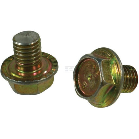 Boulon TRIOLIET-MULLOS 83910