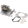 Culasse BRIGGS & STRATTON 84006590