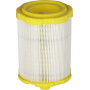 Filtre BRIGGS & STRATTON 84002310