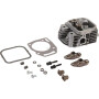 Culasse BRIGGS & STRATTON 84002011